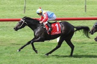 2018 Group 3 McKee Family Sunline Vase winner Contessa Vanessa.